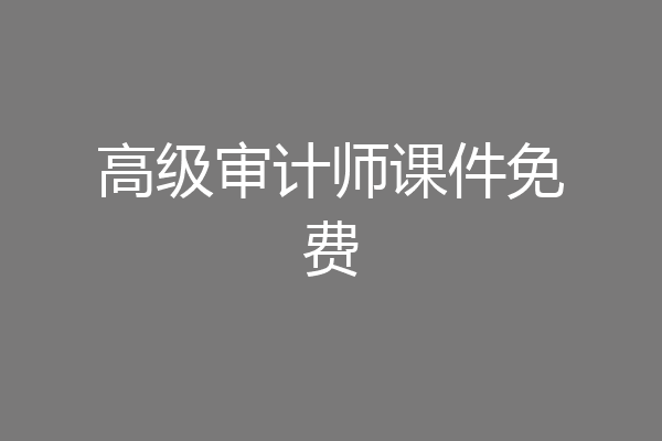 高级审计师课件免费