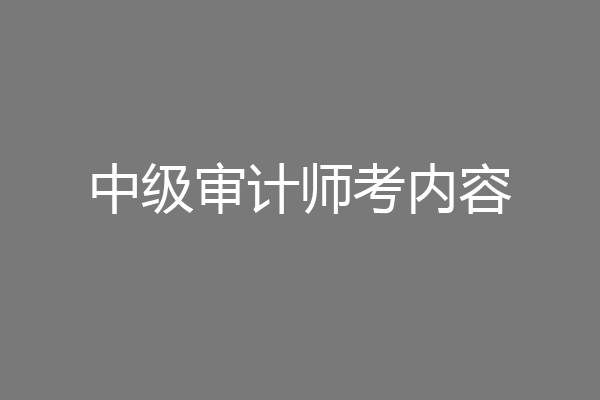 中级审计师考内容