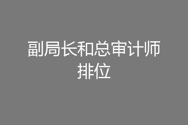 副局长和总审计师排位