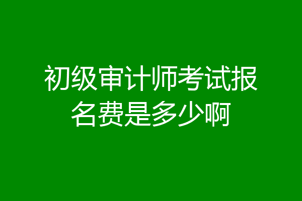 初级审计师考试报名费是多少啊