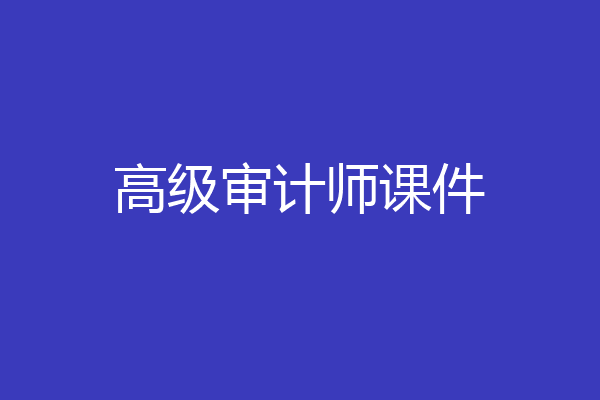 高级审计师课件