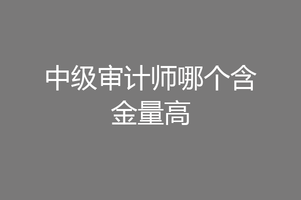 中级审计师哪个含金量高