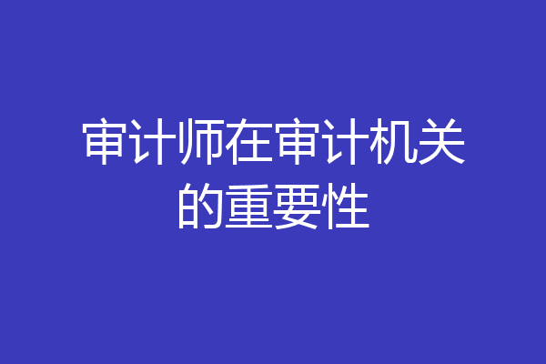审计师在审计机关的重要性