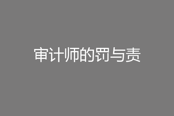 审计师的罚与责