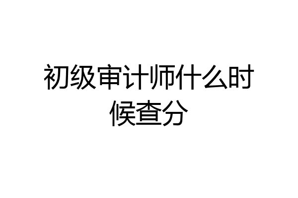 初级审计师什么时候查分