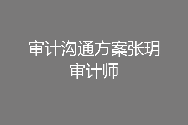 审计沟通方案张玥审计师