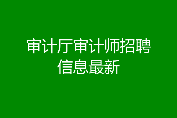审计厅审计师招聘信息最新