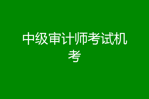 中级审计师考试机考