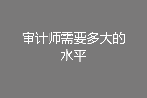 审计师需要多大的水平