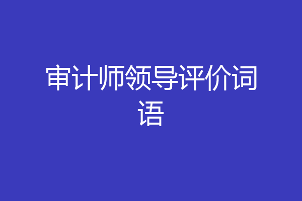 审计师领导评价词语