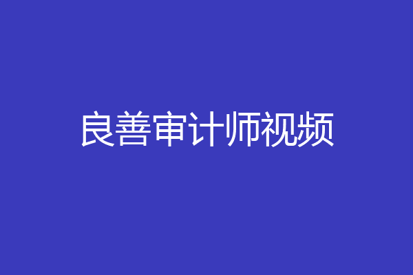 良善审计师视频