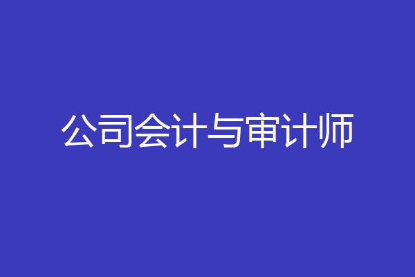 公司会计与审计师