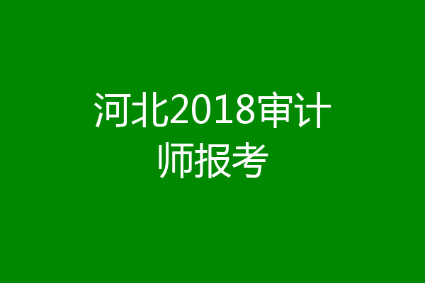 河北2018审计师报考