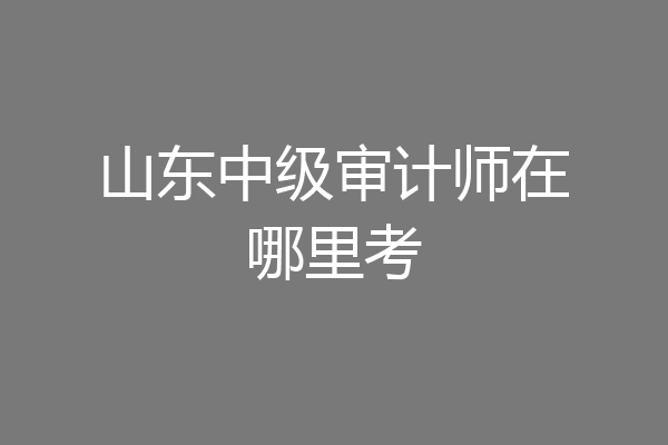 山东中级审计师在哪里考