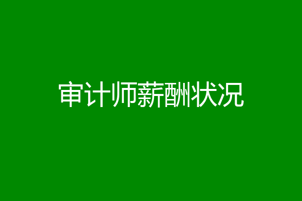 审计师薪酬状况