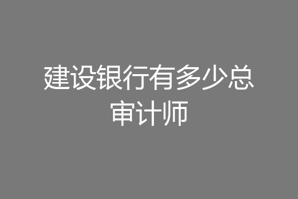 建设银行有多少总审计师