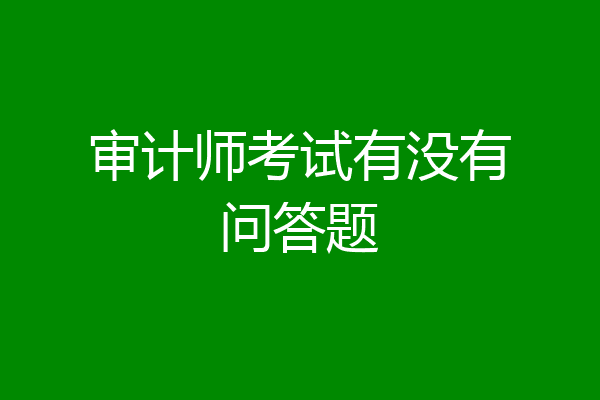 审计师考试有没有问答题