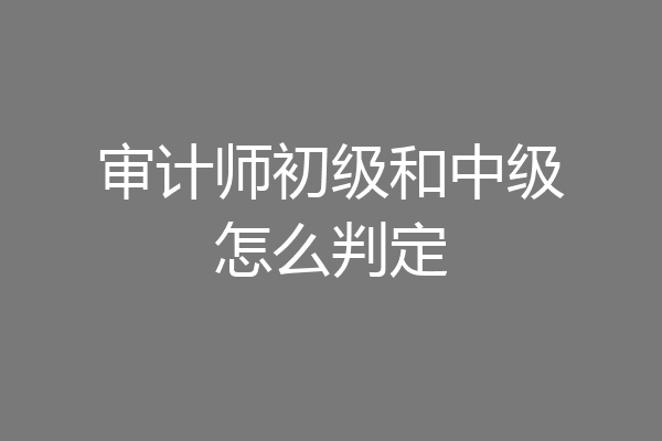 审计师初级和中级怎么判定