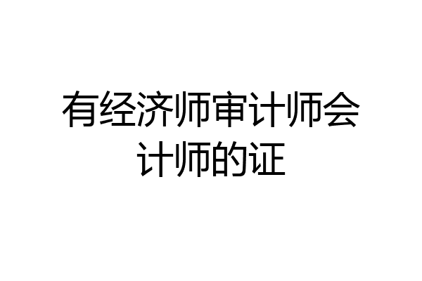 有经济师审计师会计师的证