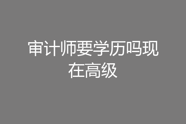 审计师要学历吗现在高级
