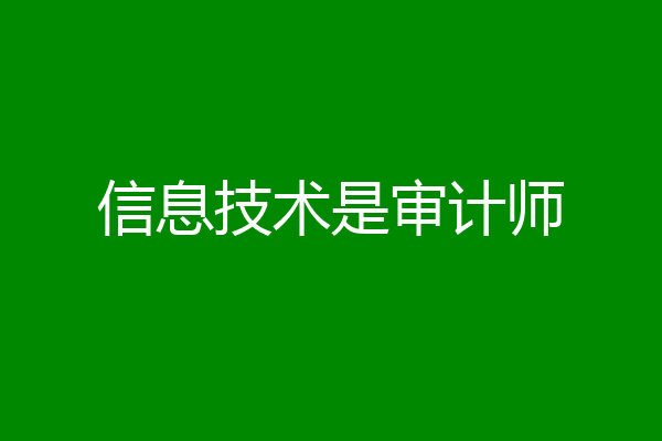 信息技术是审计师