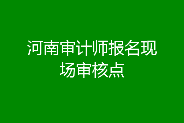 河南审计师报名现场审核点