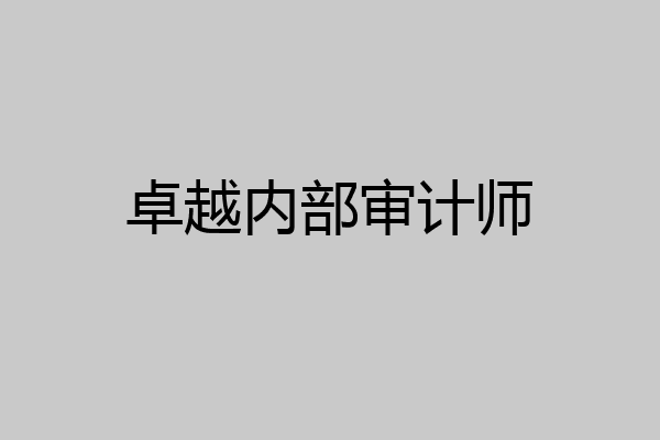 卓越内部审计师