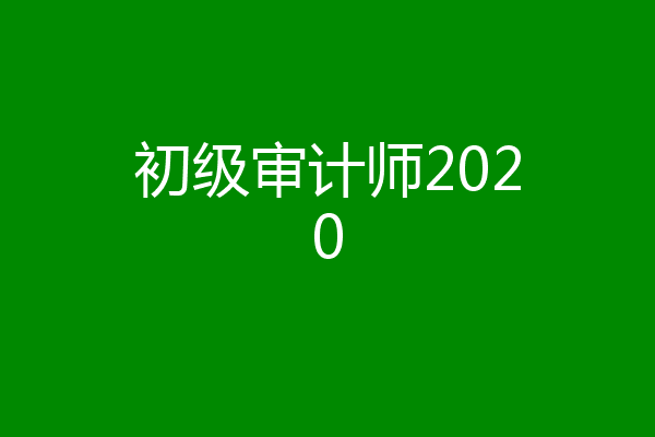 初级审计师2020