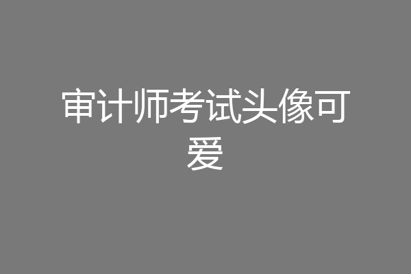 审计师考试头像可爱