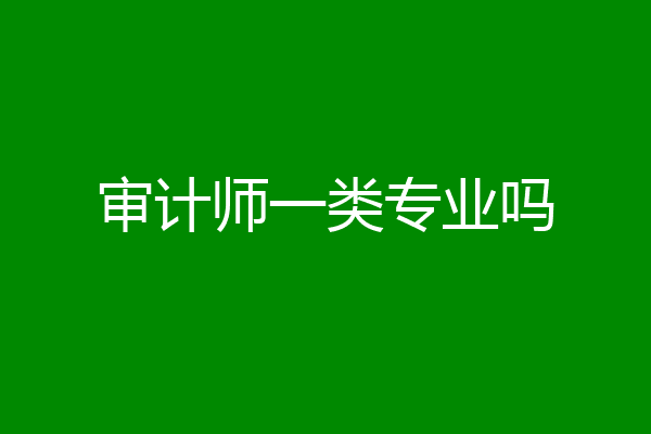 审计师一类专业吗