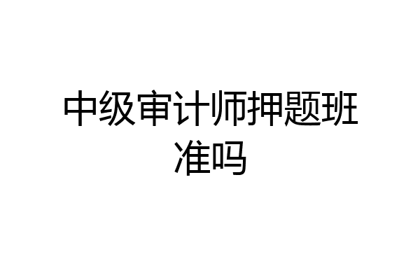 中级审计师押题班准吗
