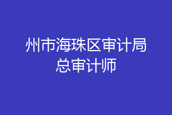 州市海珠区审计局总审计师