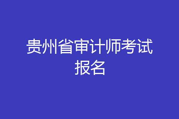 贵州省审计师考试报名