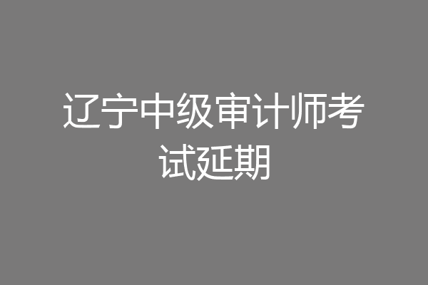 辽宁中级审计师考试延期
