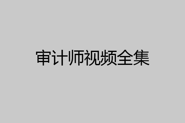 审计师视频全集