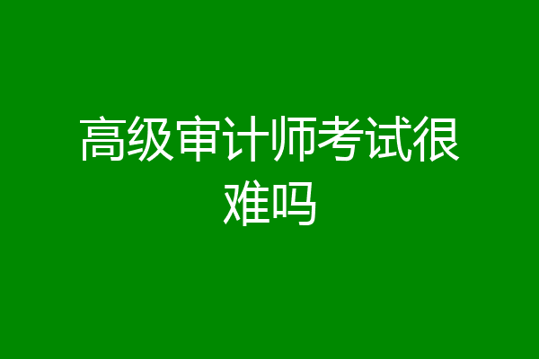 高级审计师考试很难吗