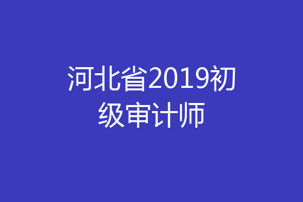 河北省2019初级审计师