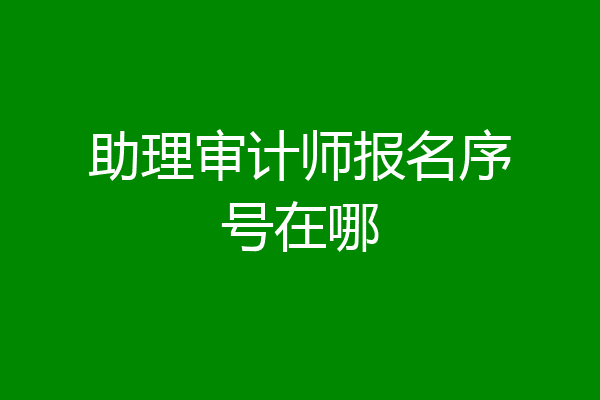 助理审计师报名序号在哪