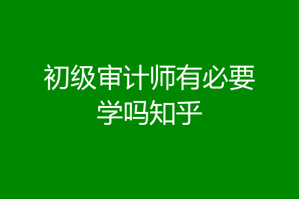 初级审计师有必要学吗知乎