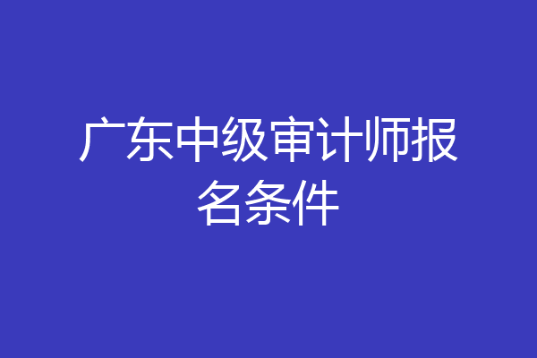 广东中级审计师报名条件
