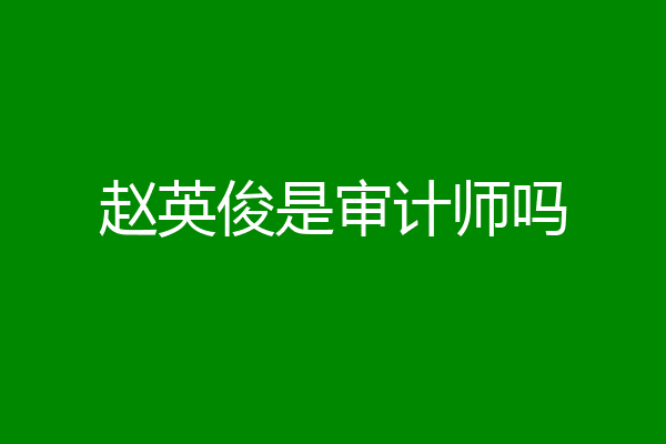 赵英俊是审计师吗