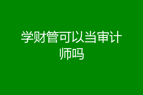 学财管可以当审计师吗