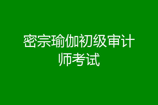 密宗瑜伽初级审计师考试
