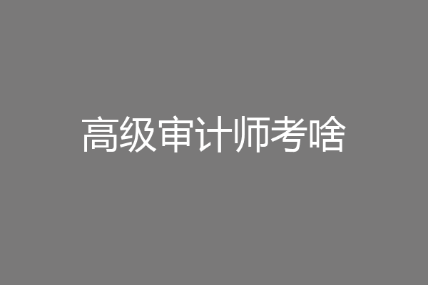 高级审计师考啥