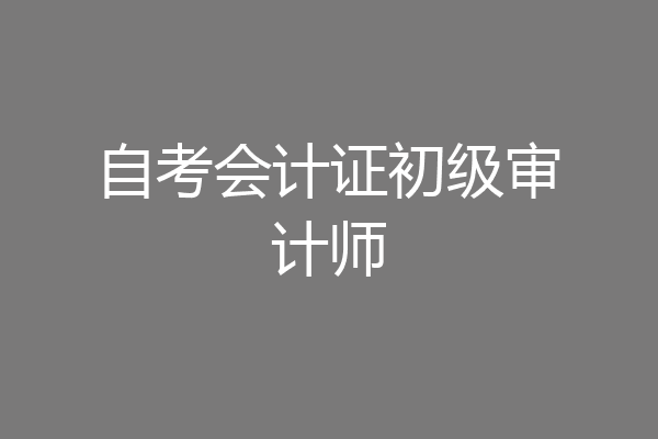自考会计证初级审计师