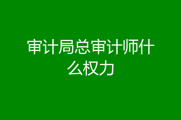 审计局总审计师什么权力
