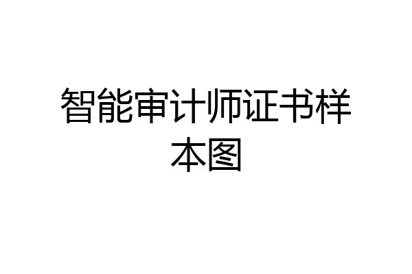 智能审计师证书样本图