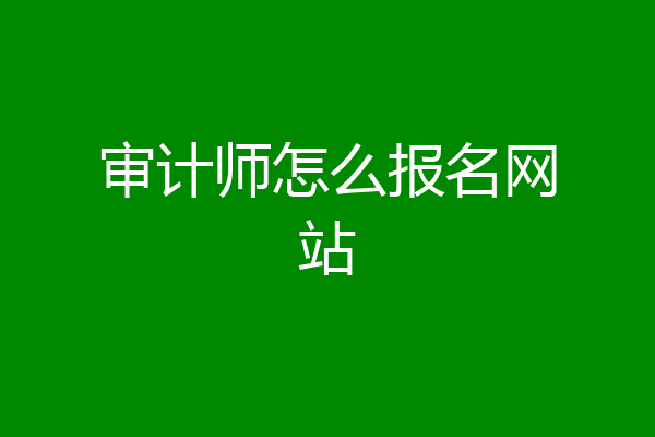 审计师怎么报名网站