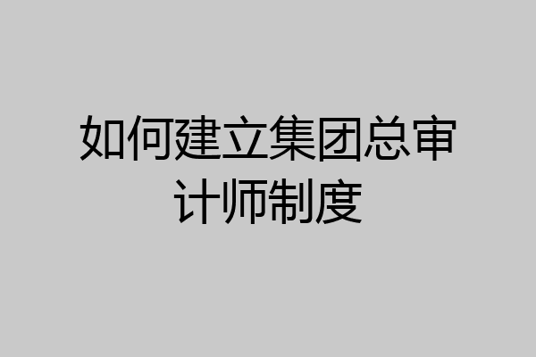 如何建立集团总审计师制度