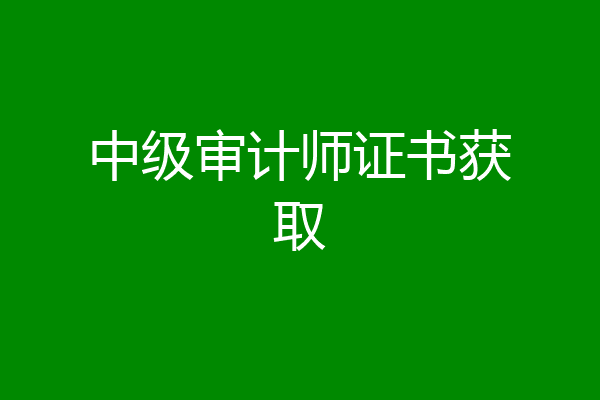 中级审计师证书获取